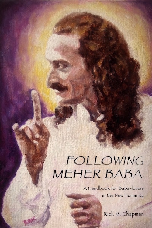Following Meher Baba book cover